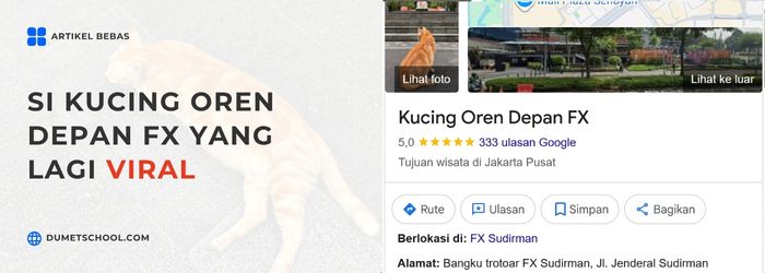 Si Kucing Oren Depan FX yang Lagi Viral
