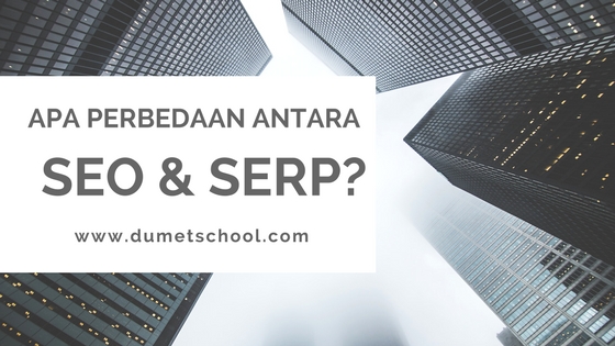 Apa Perbedaan Antara SEO dengan SERP?