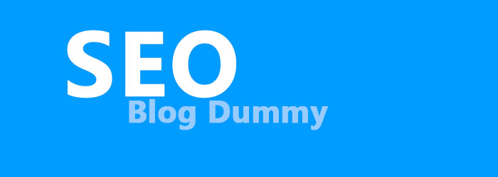 Memanfaatkan Blog Dummy untuk SEO