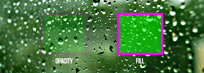Cara Membedakan Opacity dan Fill di Photoshop